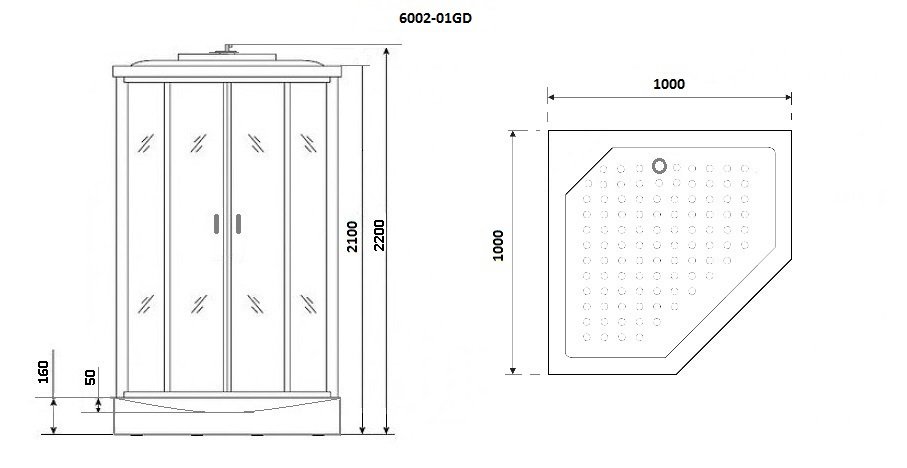 Душевая кабина Niagara Premium NG-6002-01GD 100х100х220, с низким поддоном