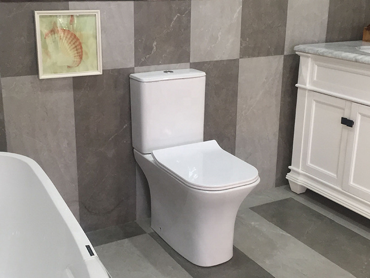 Унитаз-компакт Cerutti Spa Vettore 9240 безободковый, с микролифтом, белый матовый